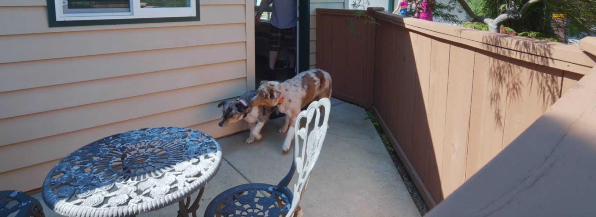 pet friendly patio hotel rooms in Grants Pass, OR